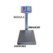 Balanza Electrónica Brazo 300 Kg Silver Max Escualizable
